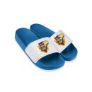 Veitshöchheimer Carneval-Club Badelatschen